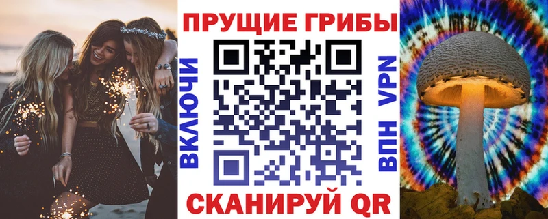 omg ONION Шагонар Псилоцибиновые грибы Psilocybine cubensis